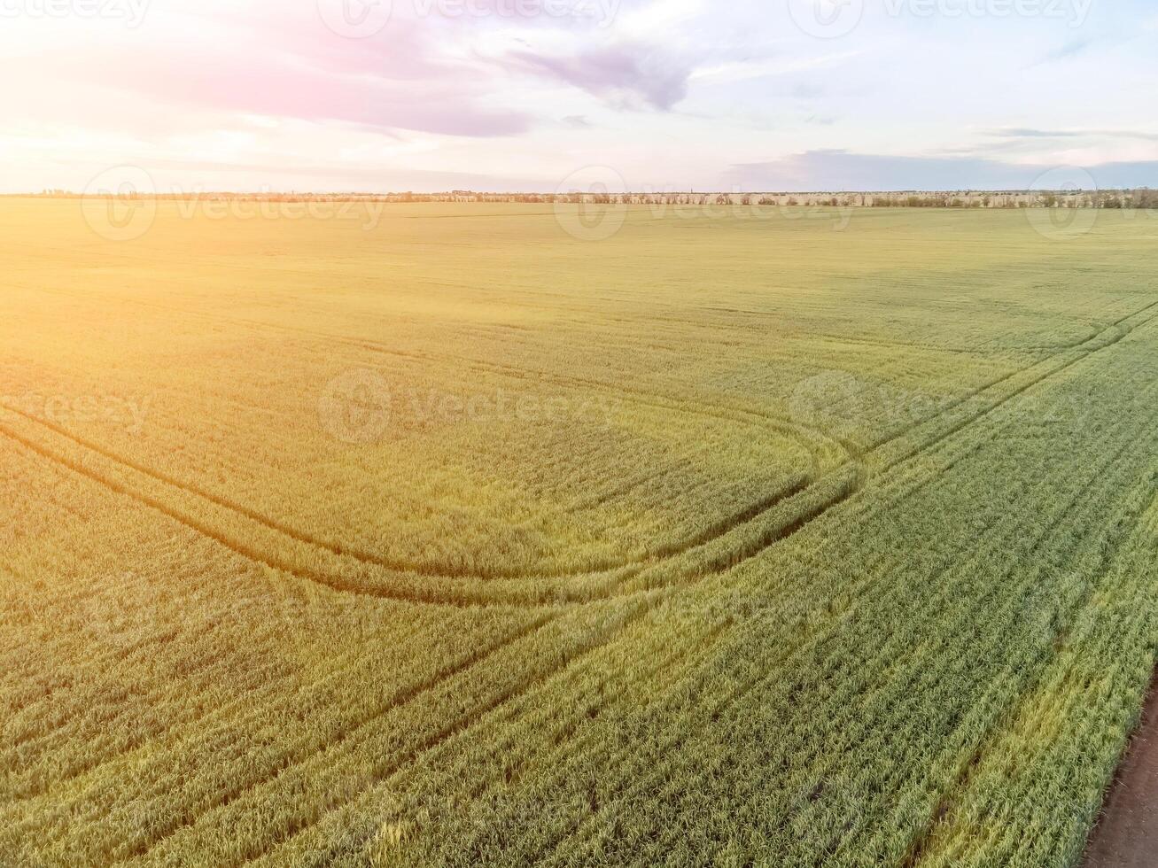 Grain silos on a green field background with warm sunset light. Grain elevator. Metal grain elevator in agricultural zone. Agriculture storage for harvest. Aerial view of agricultural factory. Nobody. photo