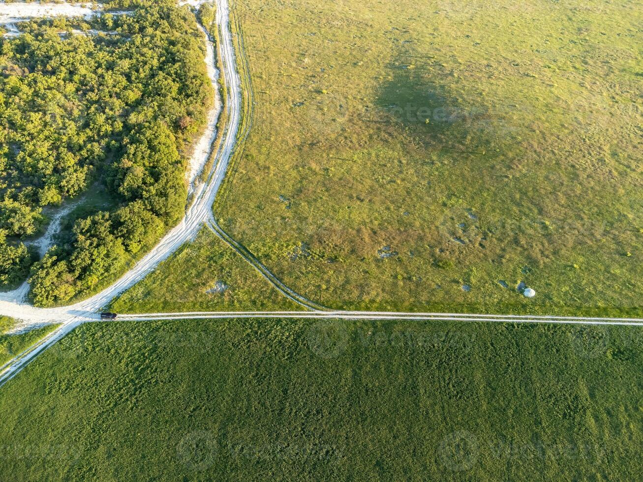 Aerial view on green wheat field in countryside. Field of wheat blowing in the wind on sunset. Young and green Spikelets. Ears of barley crop in nature. Agronomy, industry and food production. photo