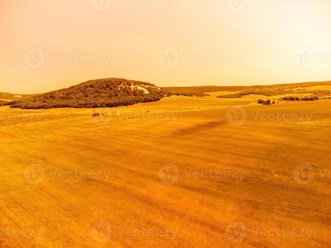 Aerial view on green wheat field in countryside. Field of wheat blowing in the wind like green sea. Young and green Spikelets. Ears of barley crop in nature. Agronomy, industry and food production. photo