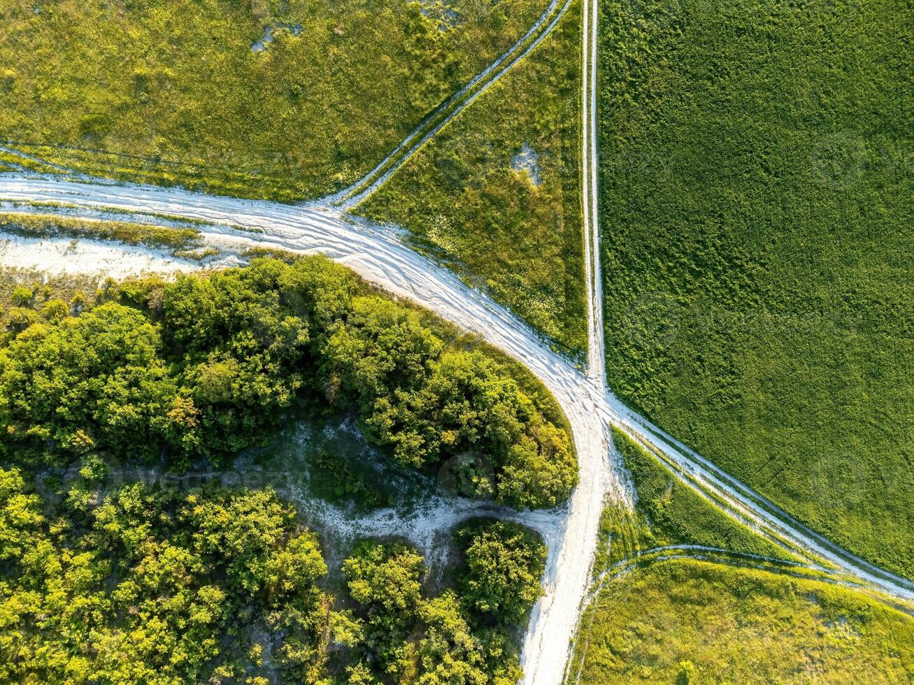 Aerial view on green wheat field and road in countryside. Field of wheat blowing in the wind on sunset. Young and green Spikelets. Ears of barley crop in nature. Agronomy, industry and food production photo