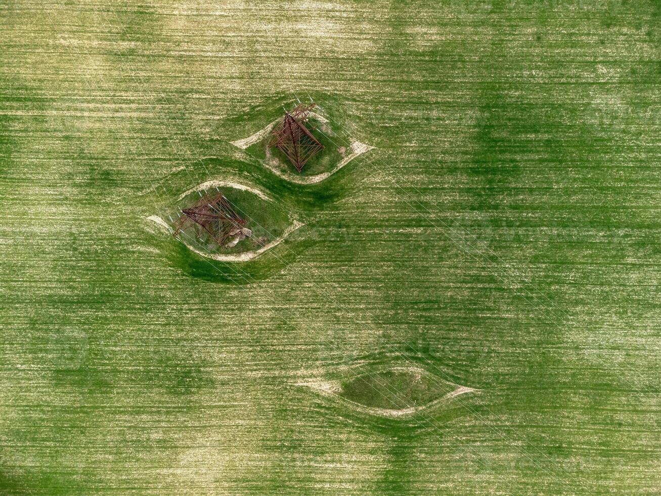 Power pylons in green field. Aerial view on Green wheat field with power pylons in countryside. Field of wheat blowing in the wind on sunset. Agronomy, industry and food production. photo