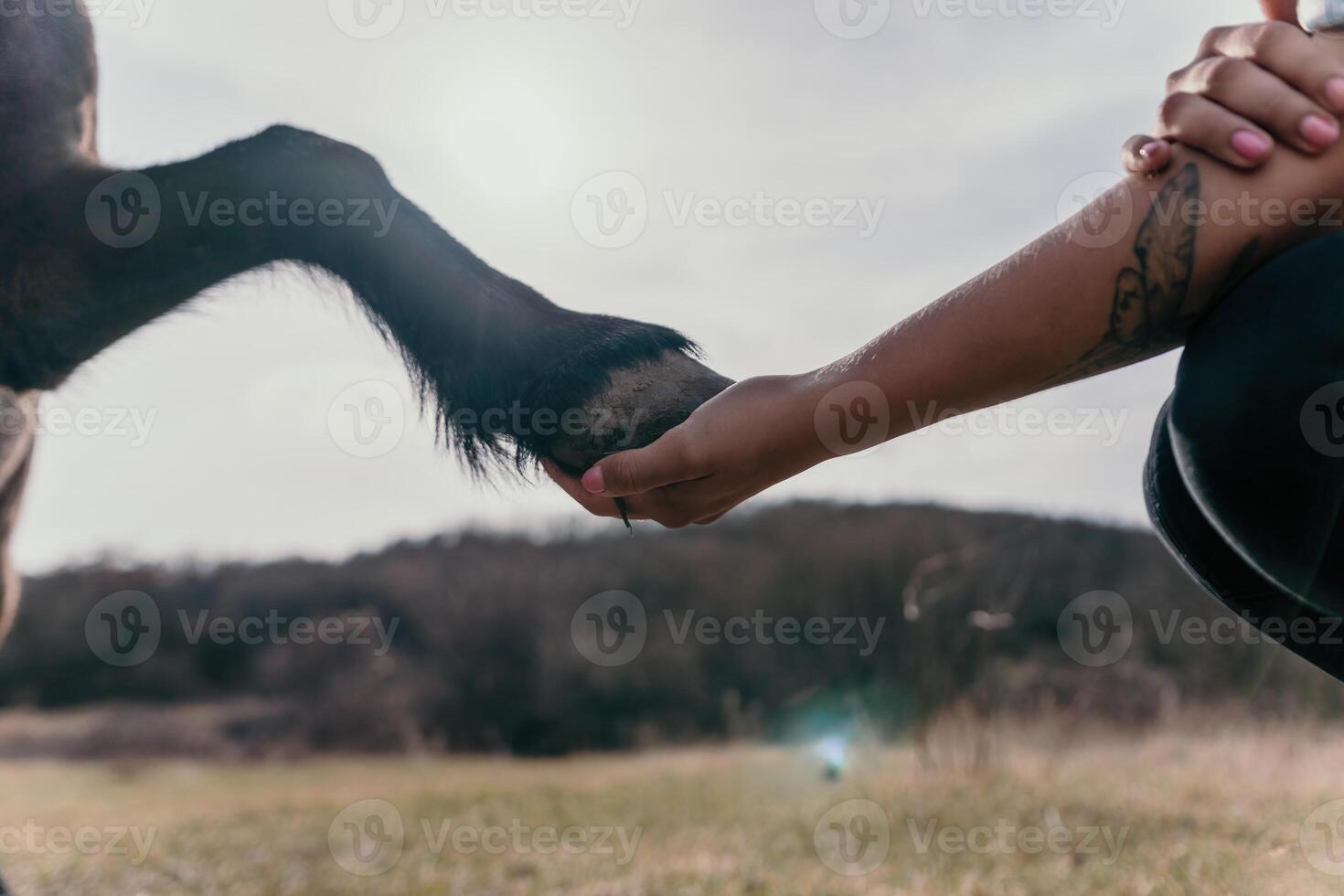 Young happy woman with her pony horse in evening sunset light. Outdoor photography with fashion model girl. Lifestyle mood. Concept of outdoor riding, sports and recreation. photo