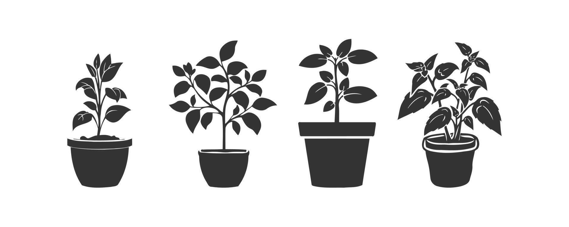 Plant in flower pot icon set. Vector illustration design.