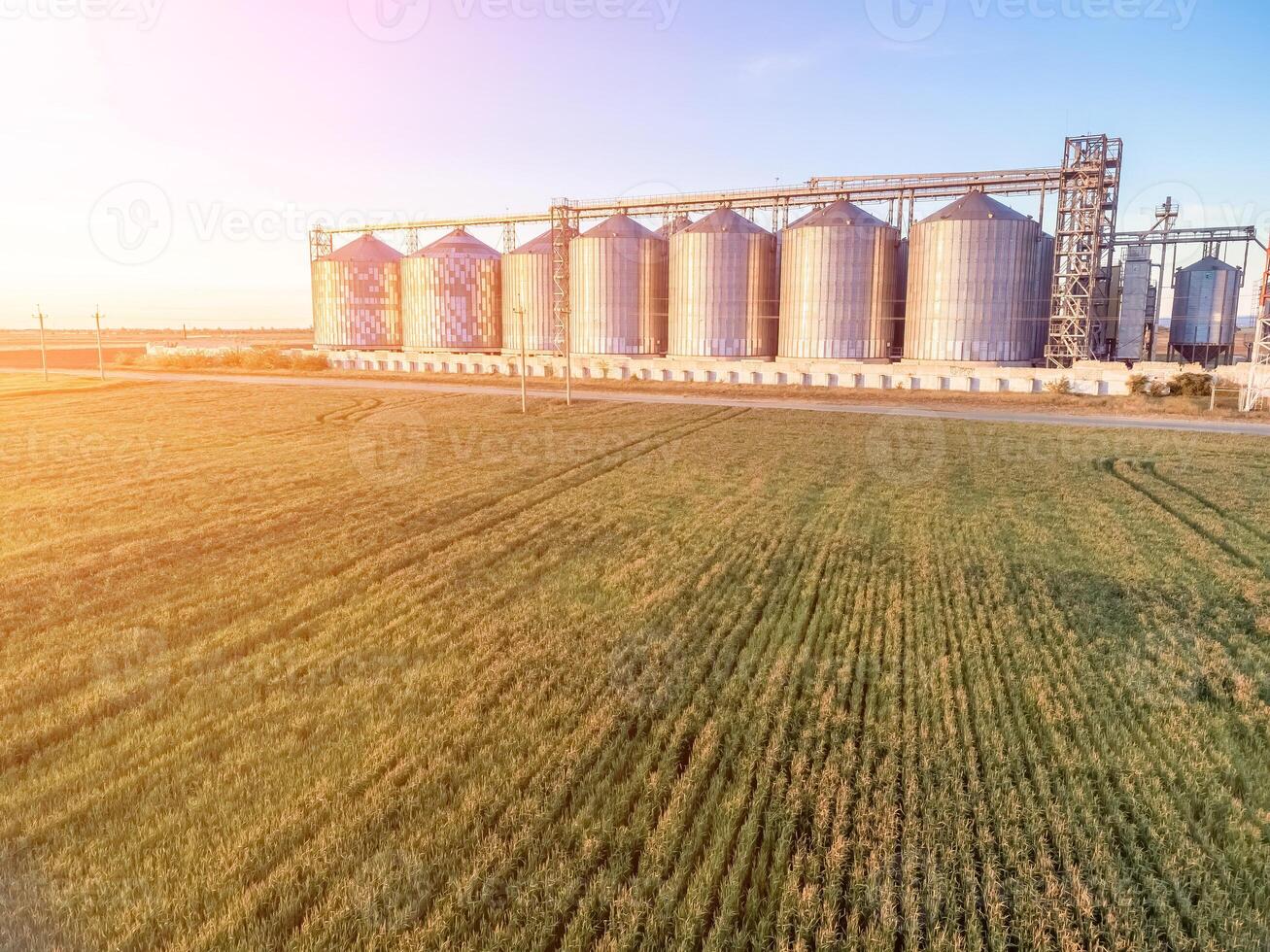 Grain silos on a green field background with warm sunset light. Grain elevator. Metal grain elevator in agricultural zone. Agriculture storage for harvest. Aerial view of agricultural factory. Nobody. photo