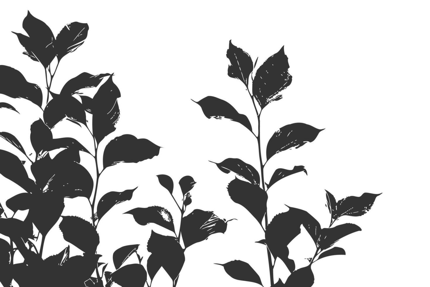 Leaves silhouette of beautiful plants. Vector illustration design.