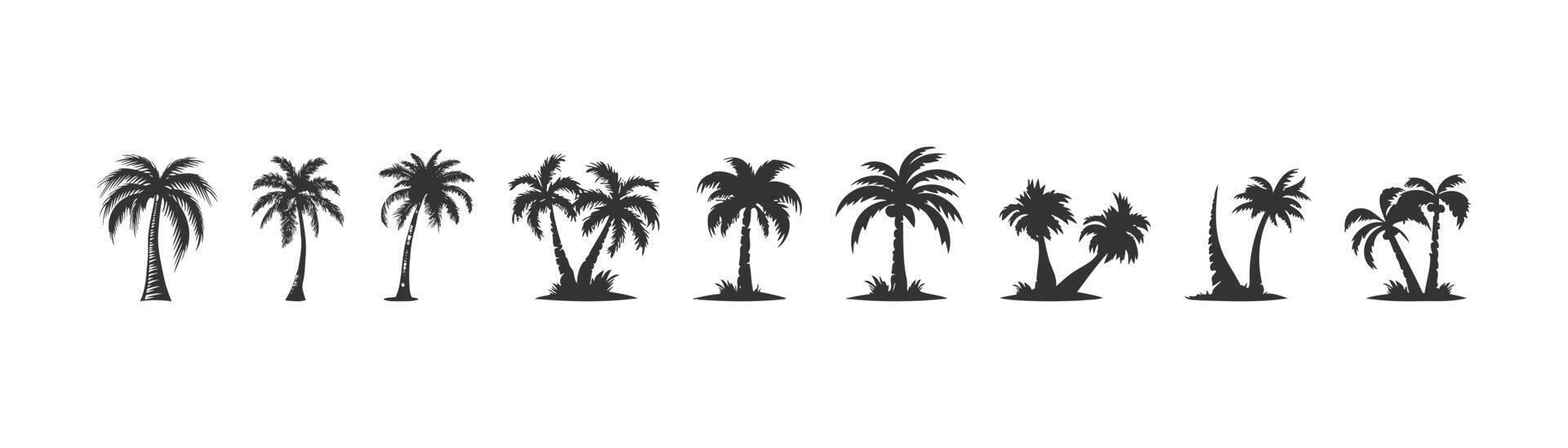 Tropical palm tree silhouette icon set. Vector illustration design.