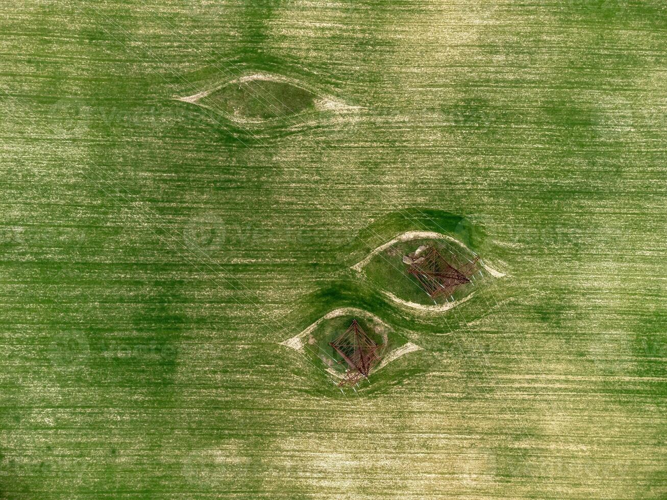 Power pylons in green field. Aerial view on Green wheat field with power pylons in countryside. Field of wheat blowing in the wind on sunset. Agronomy, industry and food production. photo