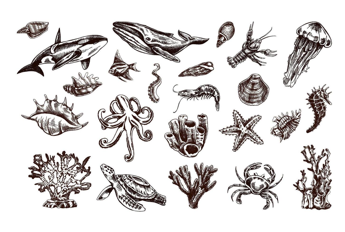 dibujado a mano submarino animales, criaturas colocar. vector contorno estilo ilustración. Clásico bosquejo grabado ilustración aislado en blanco antecedentes.