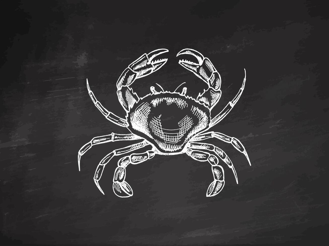 Hand-drawn crab. Vector sketch illustration on chalkboard background. Sea collection. Engraved illustrations. Realistic sketches.