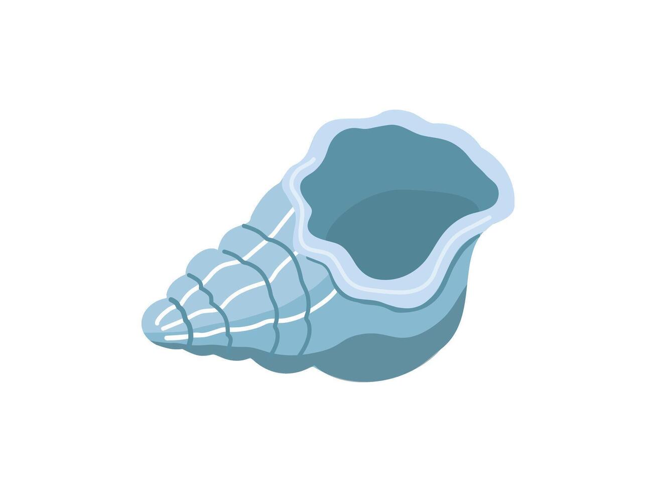 Sea shells vector illustration, mollusks. Flat illustration of seashell on white background. Ocean element for stickers.