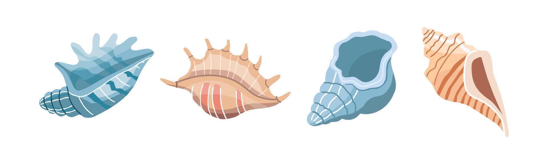 Sea shells vector set, mollusks. Flat illustration of various seashells on white background. Collection for stickers.