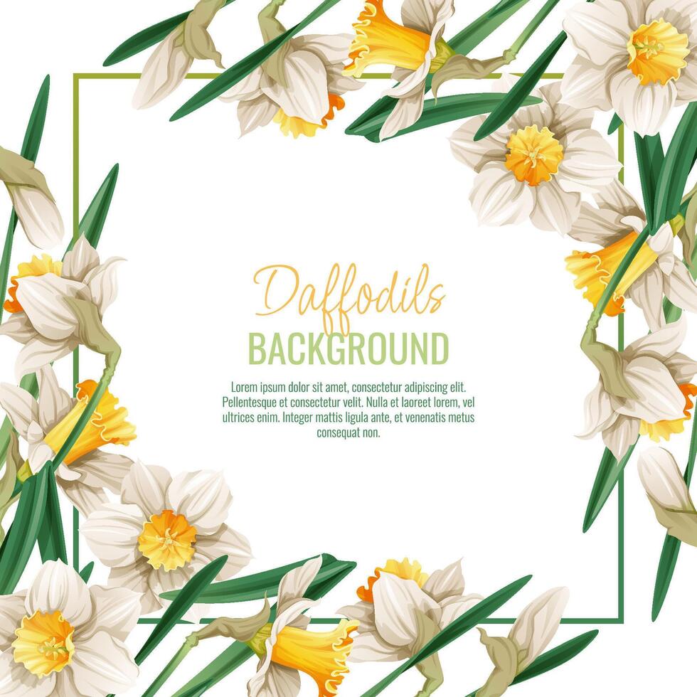 Spring background with daffodils. Postcard, banner for Easter. Spring time. Frame with delicate spring flowers. vector