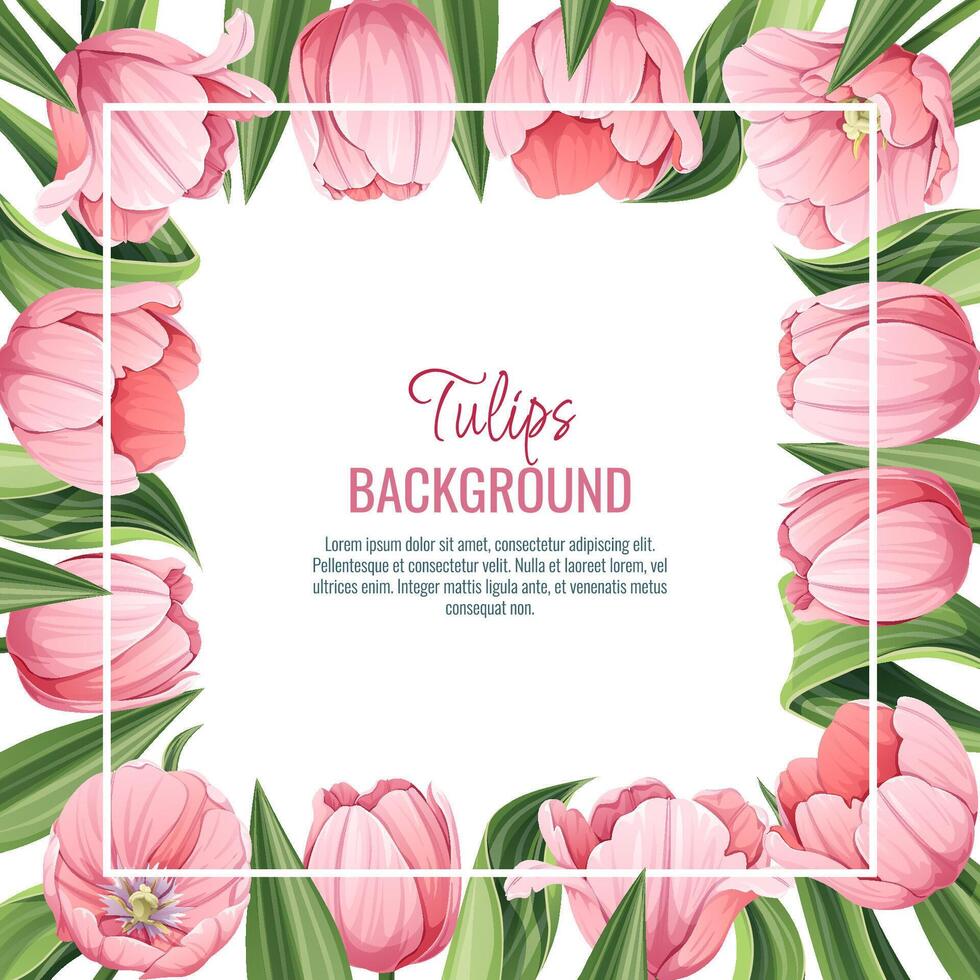 Template for greeting card, banner with pink tulips. Spring background for International Women's Day, March 8. Frame with delicate spring flowers. vector