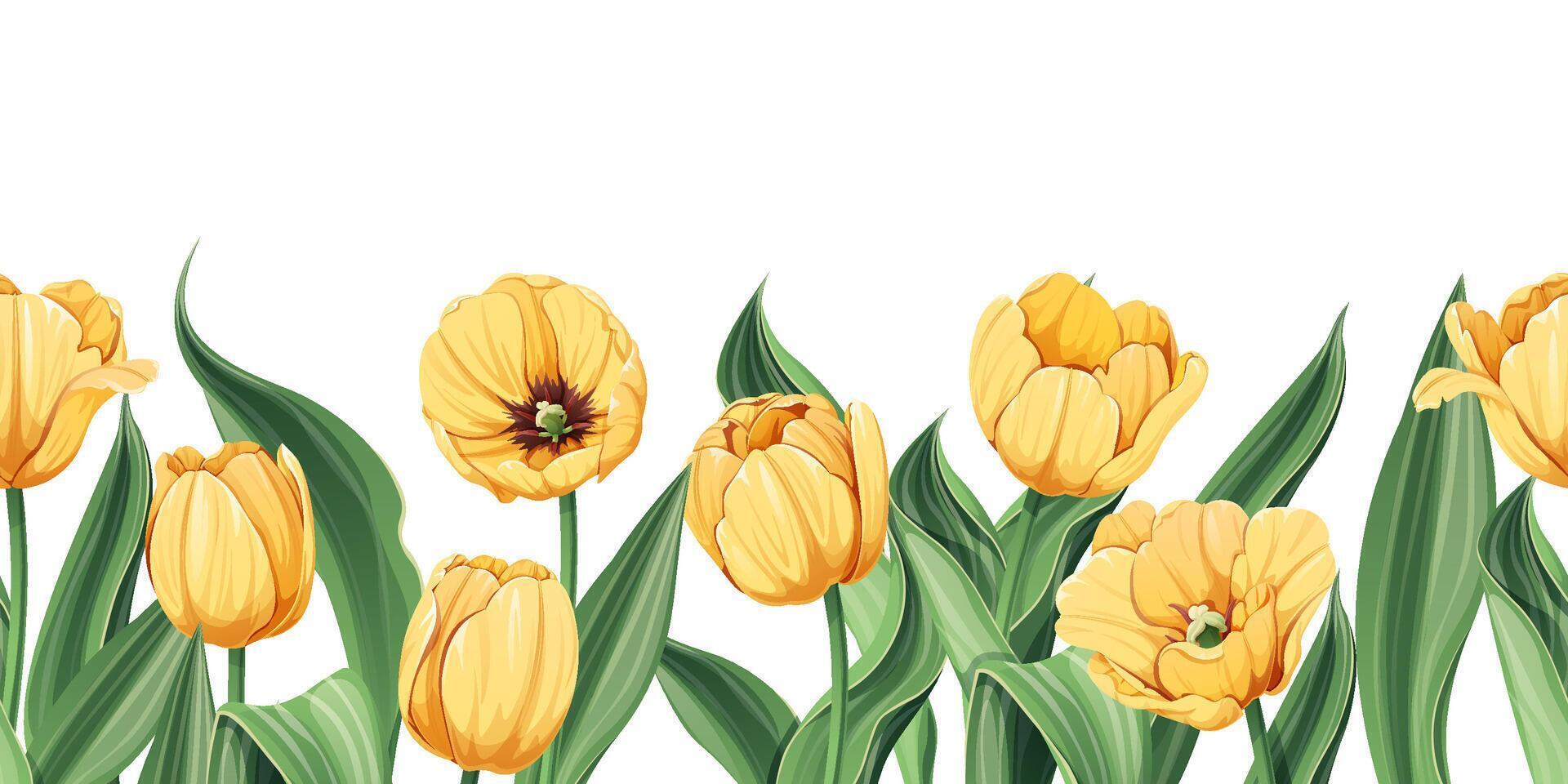 Seamless border of yellow tulips on an isolated background. Illustration with spring flowers for Easter, Mother's Day, etc. Suitable for decor, fabric, cards, backgrounds, wallpapers vector