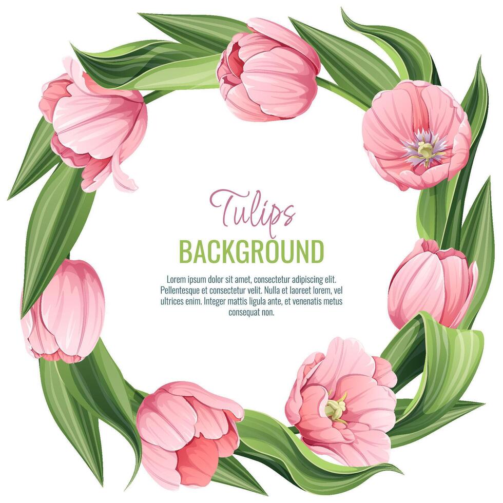 Template for greeting card, banner with pink tulips. Spring background for International Women's Day, March 8. Frame with delicate spring flowers. vector