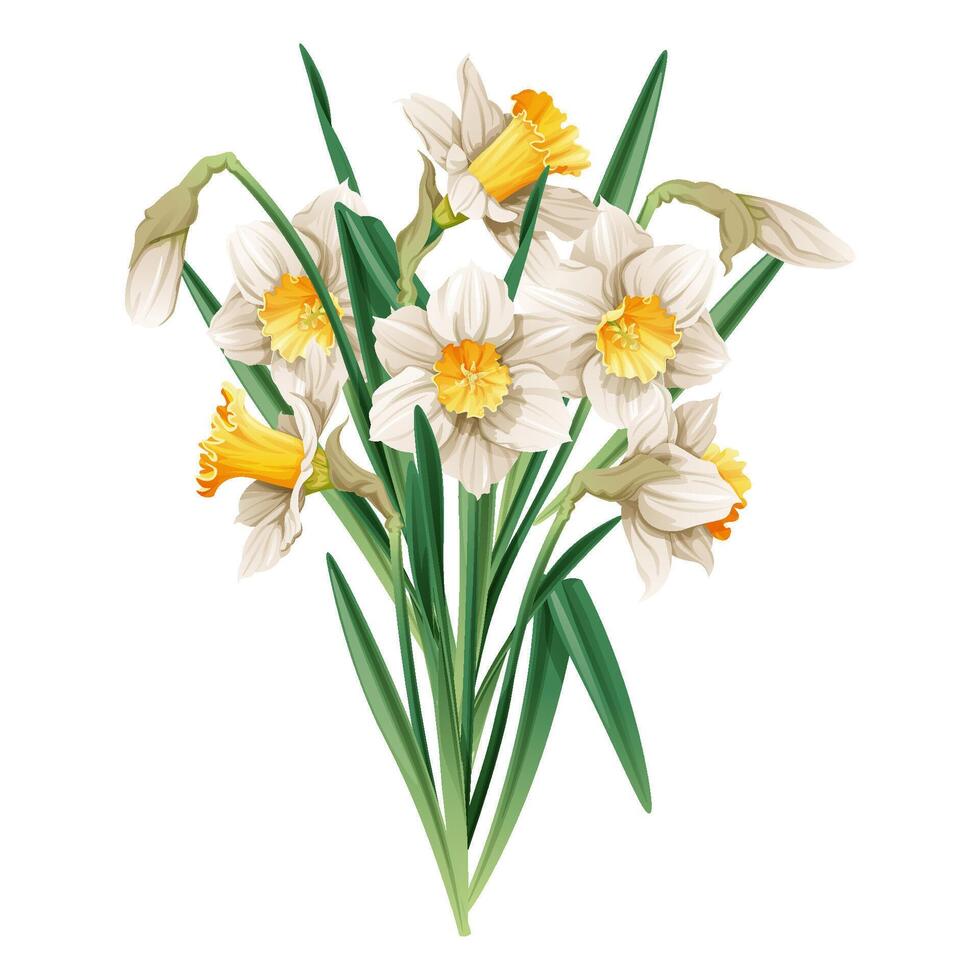 ramo de flores de narcisos en un aislado antecedentes. ilustración de primavera flores decoración para Pascua de Resurrección, vector