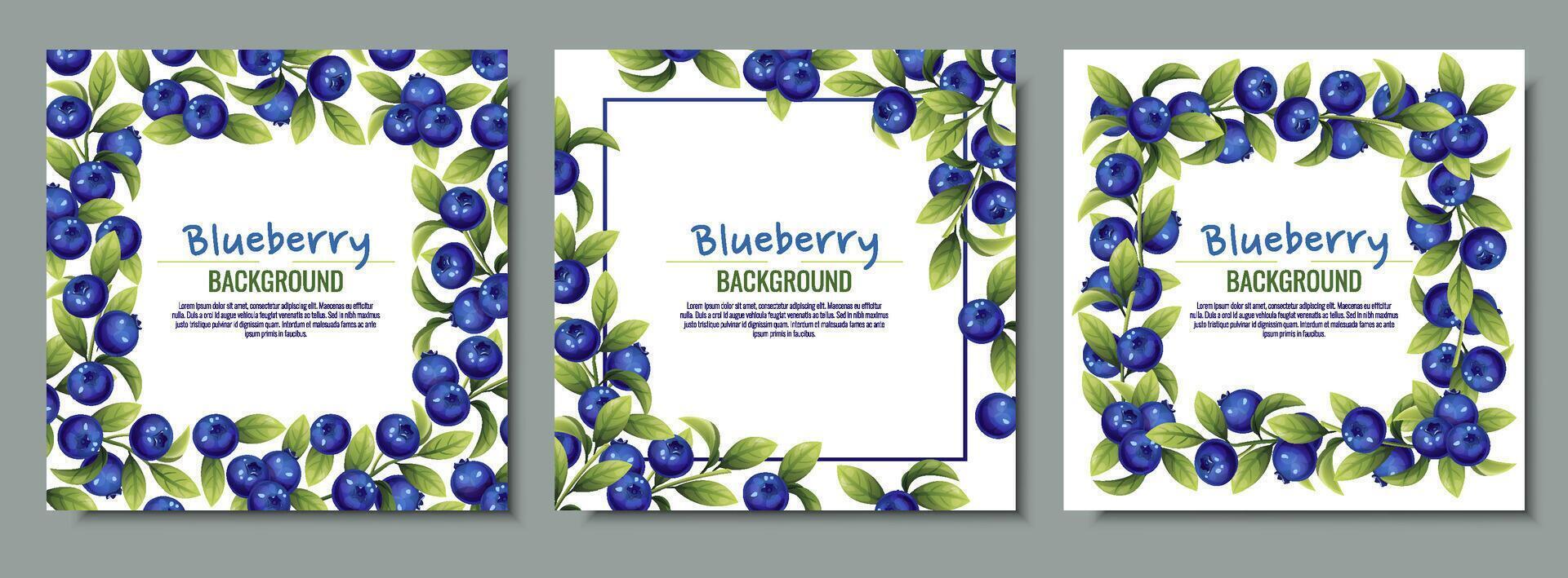 Set of cards with blueberries and green leaves. Frame, background with wild berries. vector