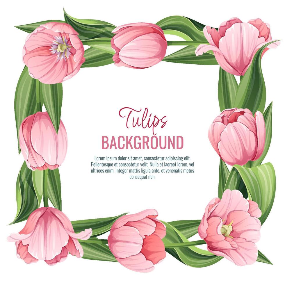 modelo para saludo tarjeta, bandera con rosado tulipanes primavera antecedentes para internacional De las mujeres día, marzo 8. marco con delicado primavera flores vector