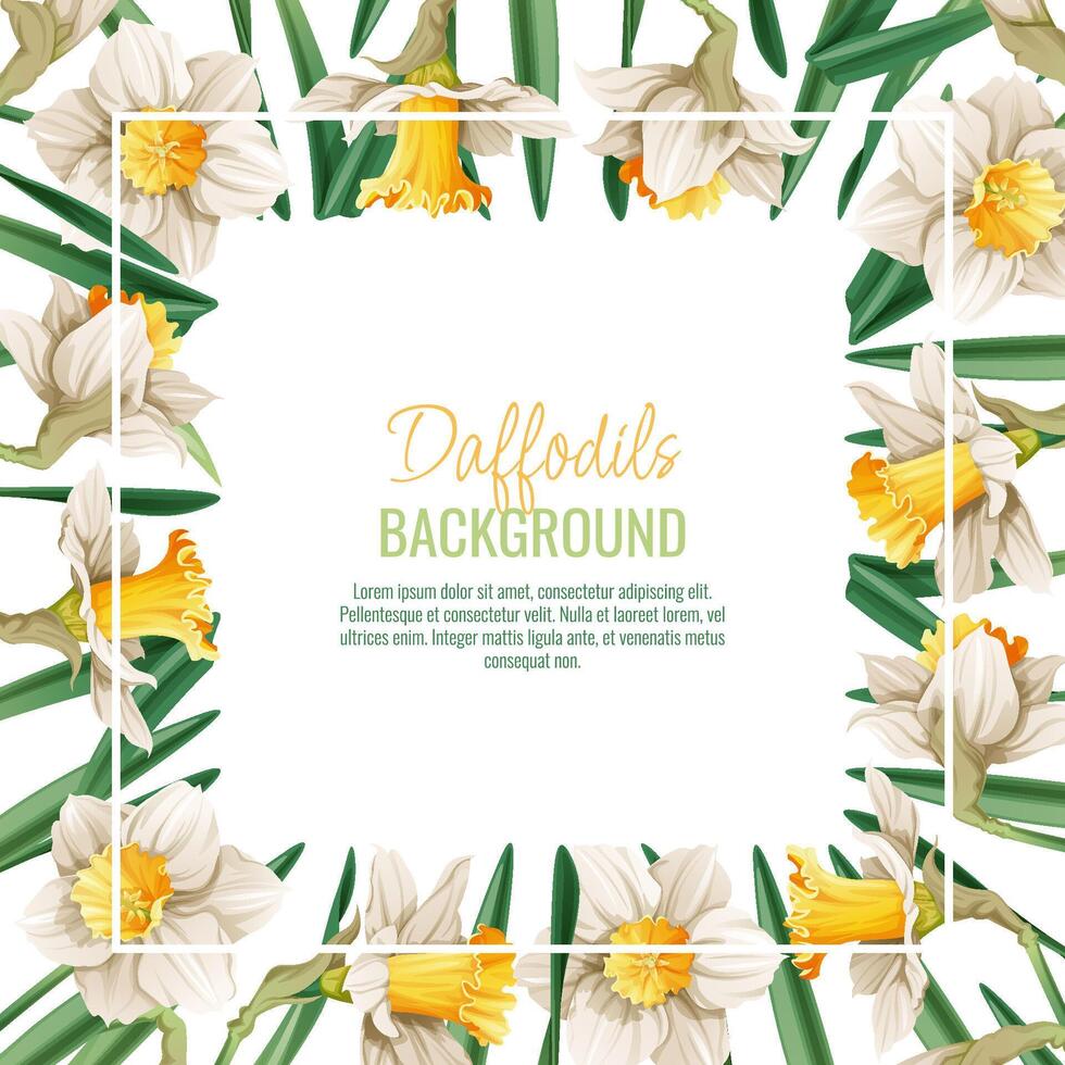 Spring background with daffodils. Postcard, banner for Easter. Spring time. Frame with delicate spring flowers. vector