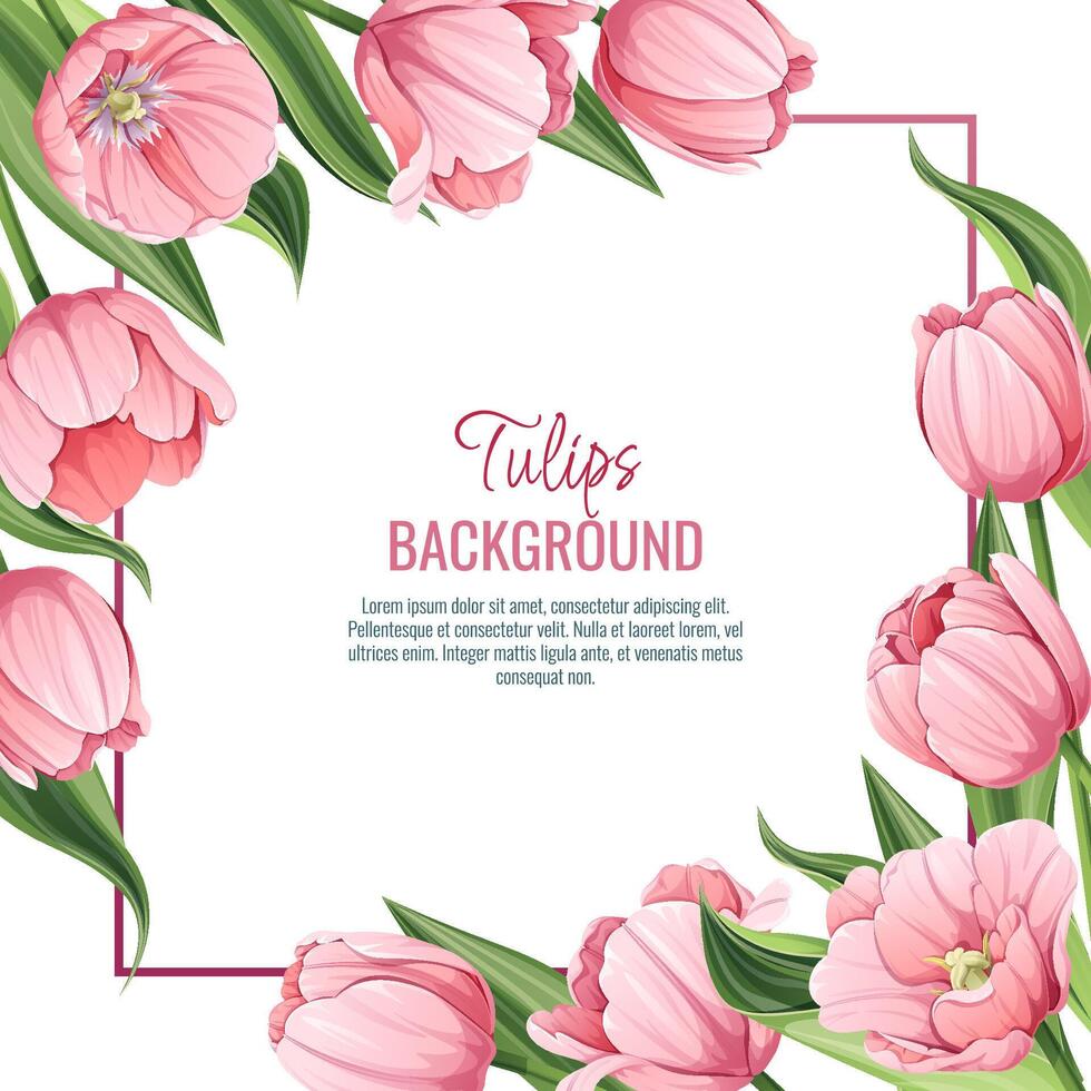 Template for greeting card, banner with pink tulips. Spring background for International Women's Day, March 8. Frame with delicate spring flowers. vector