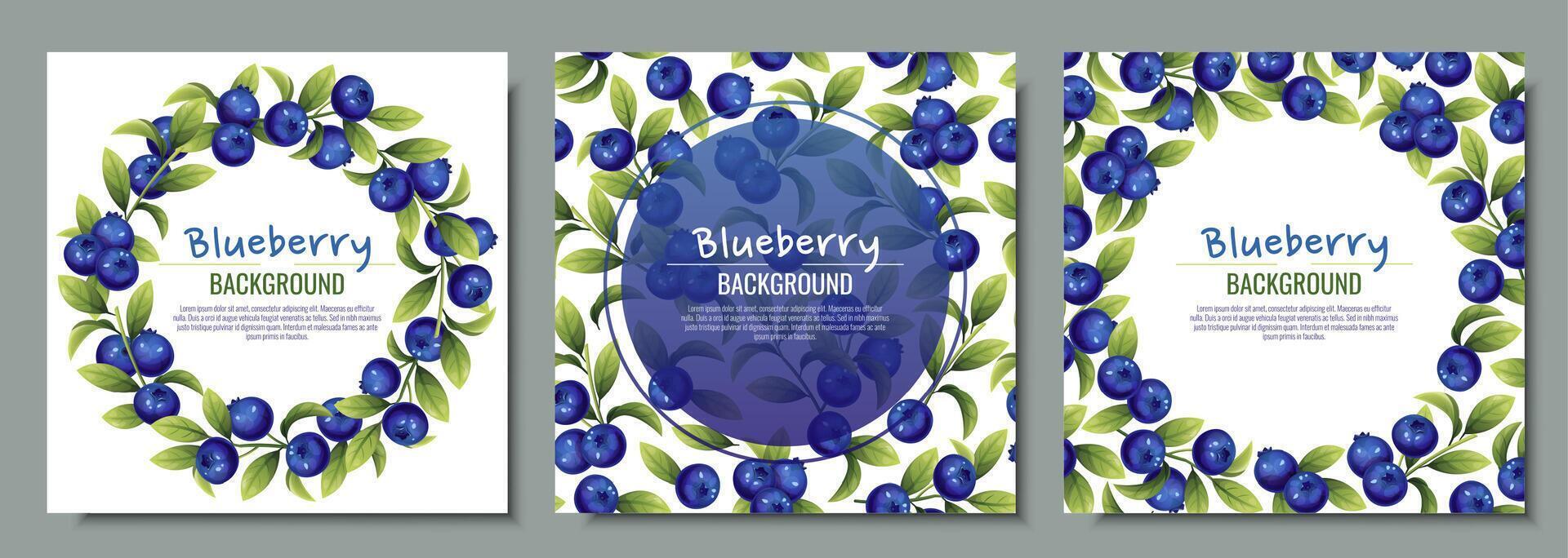 Set of cards with blueberries and green leaves. Frame, background with wild berries. vector