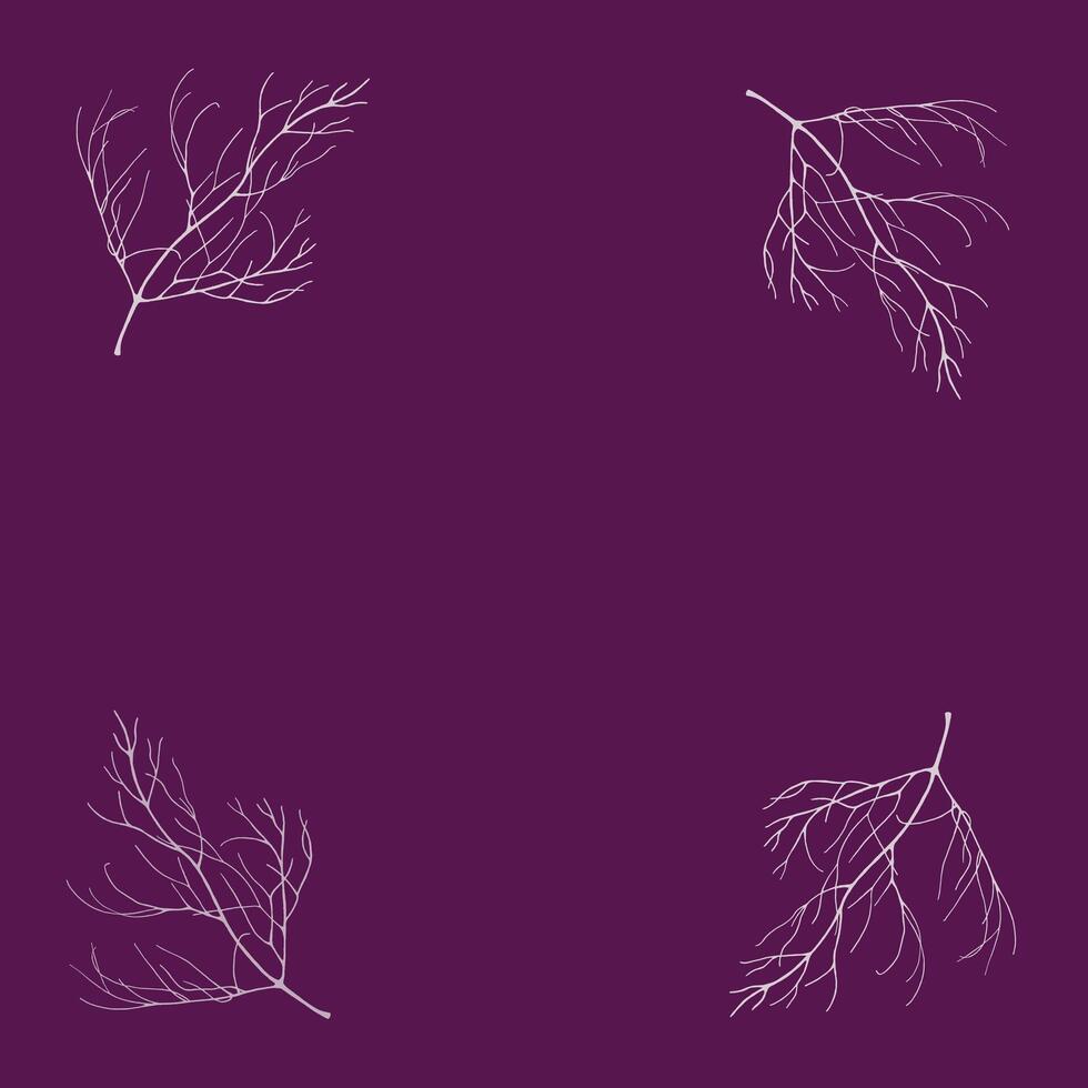 herb background picture vector