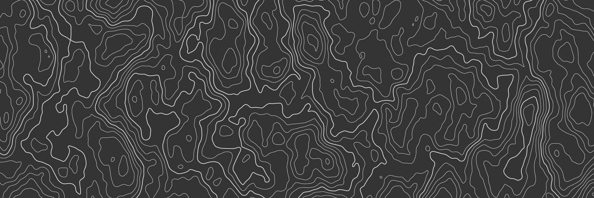 Topographic map. Line contour geographic map pattern with elevation levels. Abstract vector geographic topo wavy grid gray relief texture