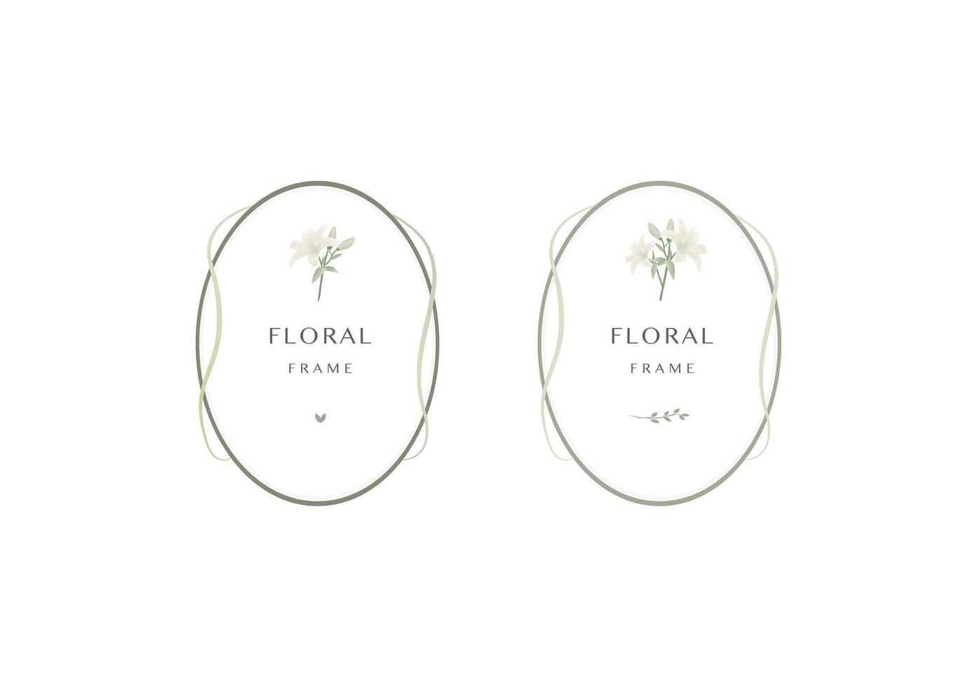 Lily floral frame ornament banner on background vector