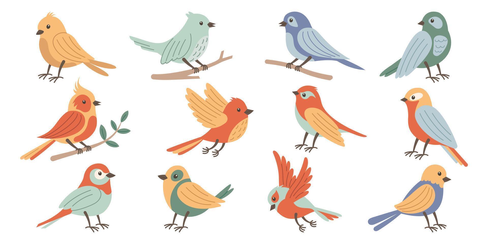 Set of spring birds. Vector cartoon in children's style. Various birds. Images isolated on white.