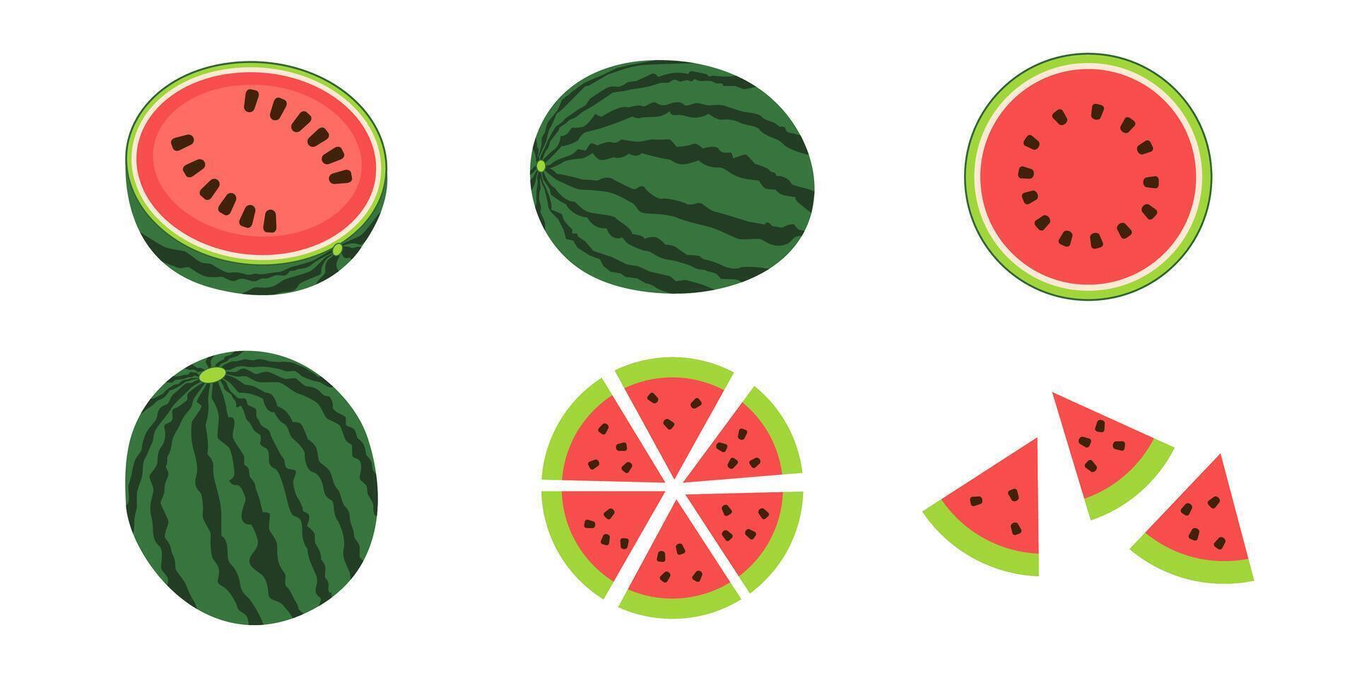 Cute red sliced watermelon illustration set. vector