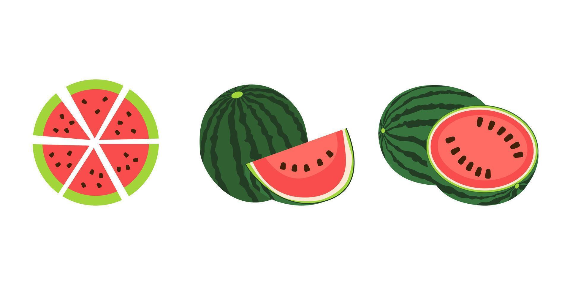 Cute red sliced watermelon illustration set. vector