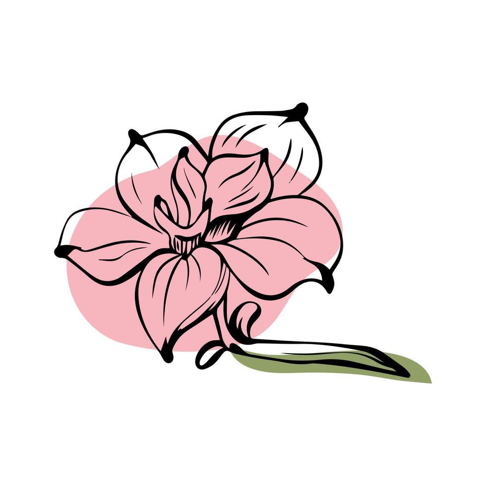 Magnolia in sketch style with abstract color shapes, hand-drawn isolated on white background. Floral sketch for print designs, signage, flower shops, logos in black and white. vector