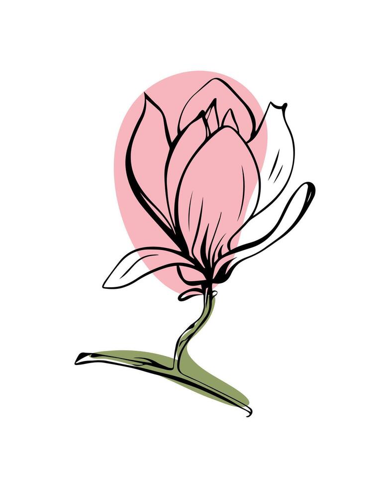 Magnolia in sketch style with abstract color shapes, hand-drawn isolated on white background. Floral sketch for print designs, signage, flower shops, logos in black and white. vector