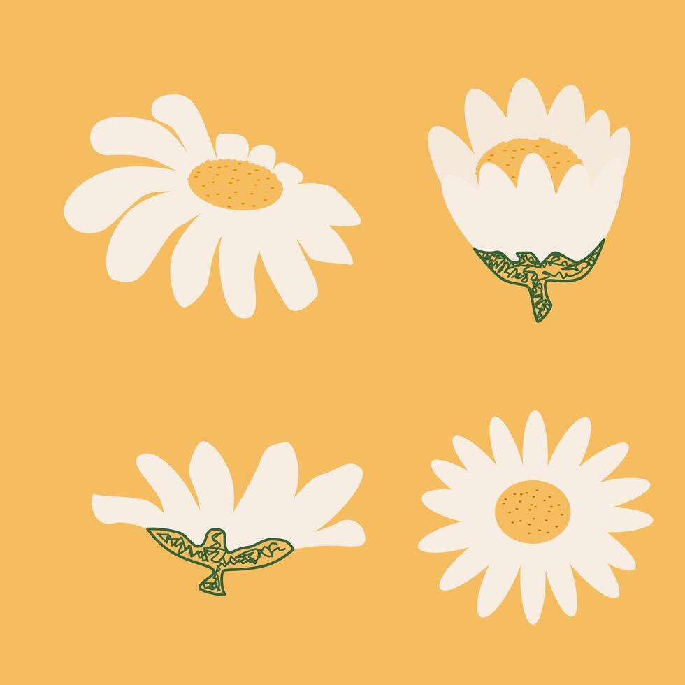 Simple White Daisy set Collection isolated on Yellow Background vector
