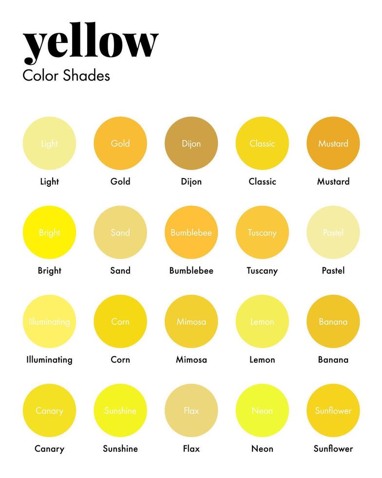 Palette of Yellow Shades with Corresponding Names, Collection of Yellows Color Swatches. Modern Minimal Design Template vector