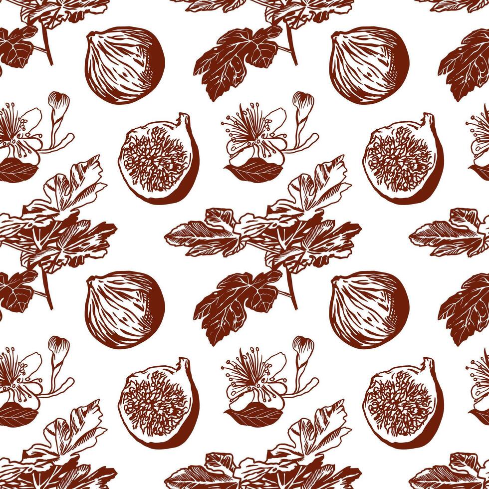 Fig graphics, seamless pattern. Vector illustration. Design element for food, cosmetics, cards, wallpaper, wrapping paper, textile, fabric, covers.
