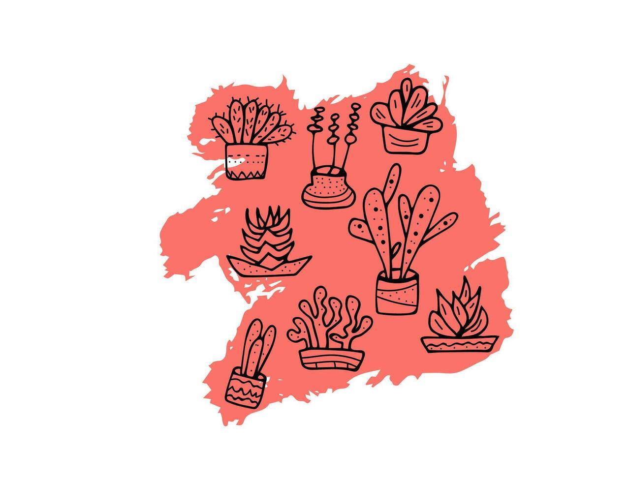 Succulents in doodle style. Vector illustration.