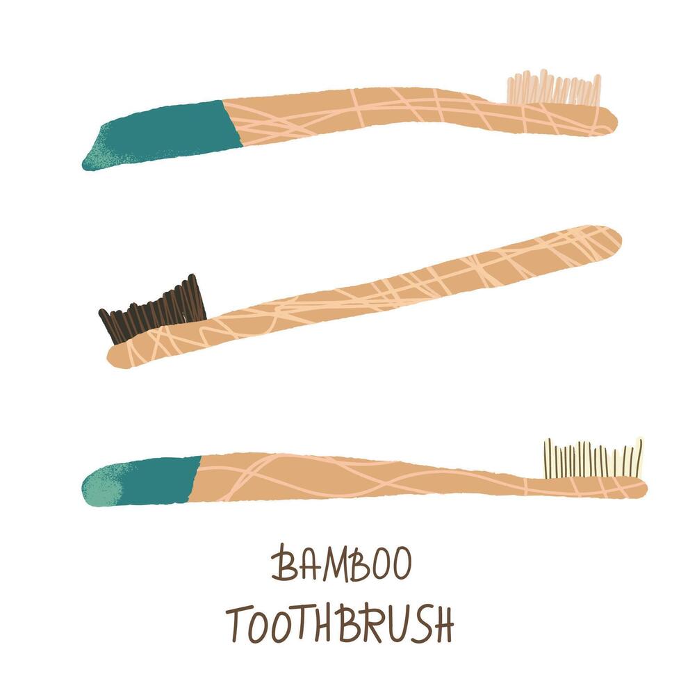 Bamboo tooth brushes set. Vector illustration.