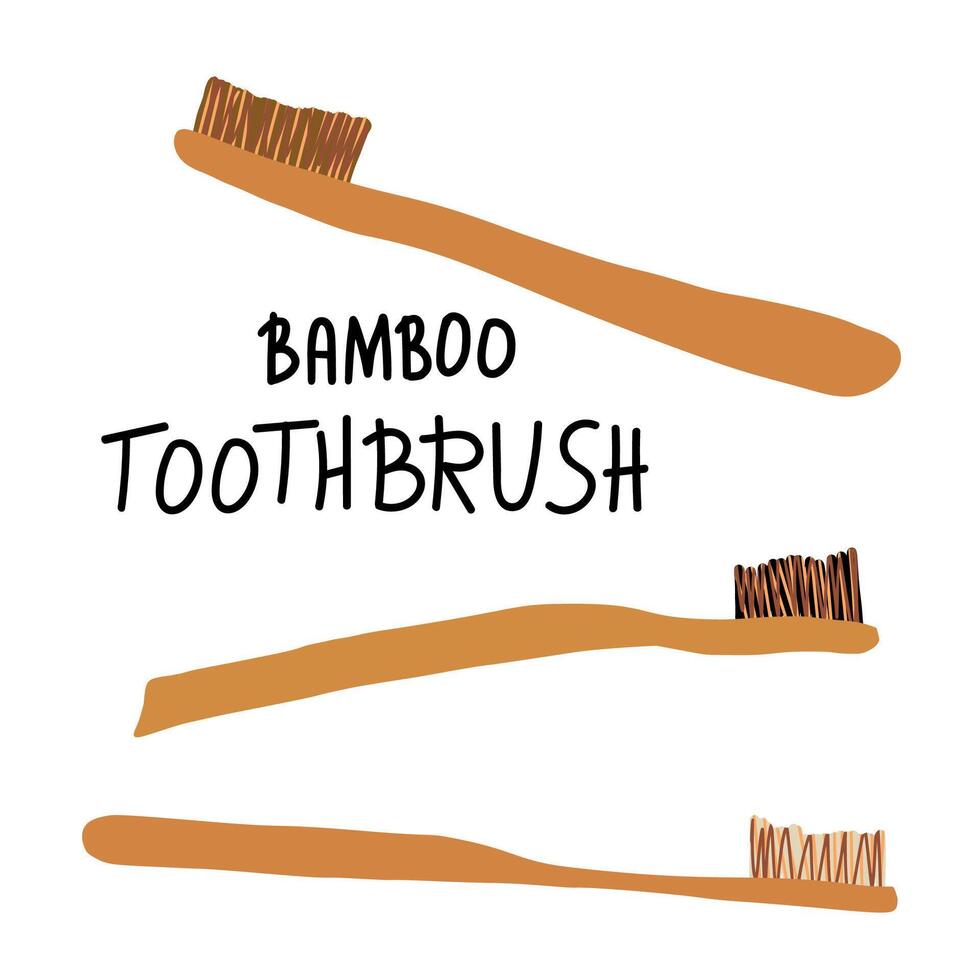 Bamboo tooth brushes set. Vector illustration.