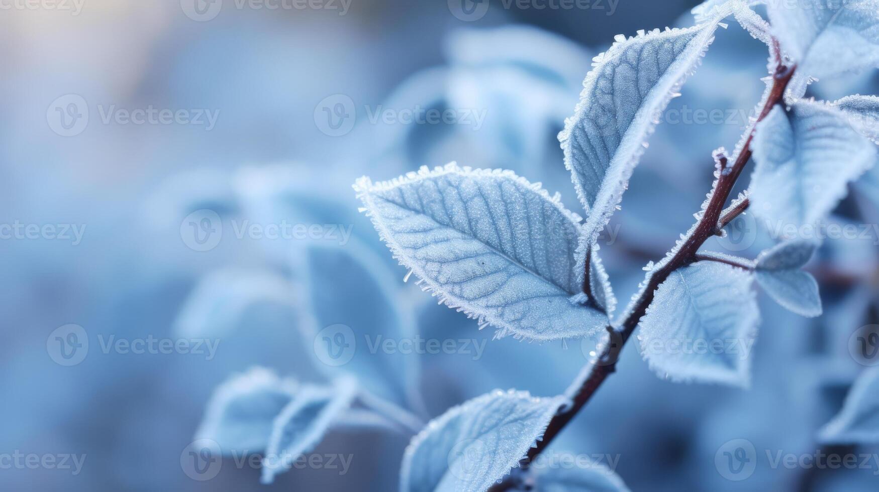AI generated Macro shot of frost on foliage, icy details, winter wonder photo