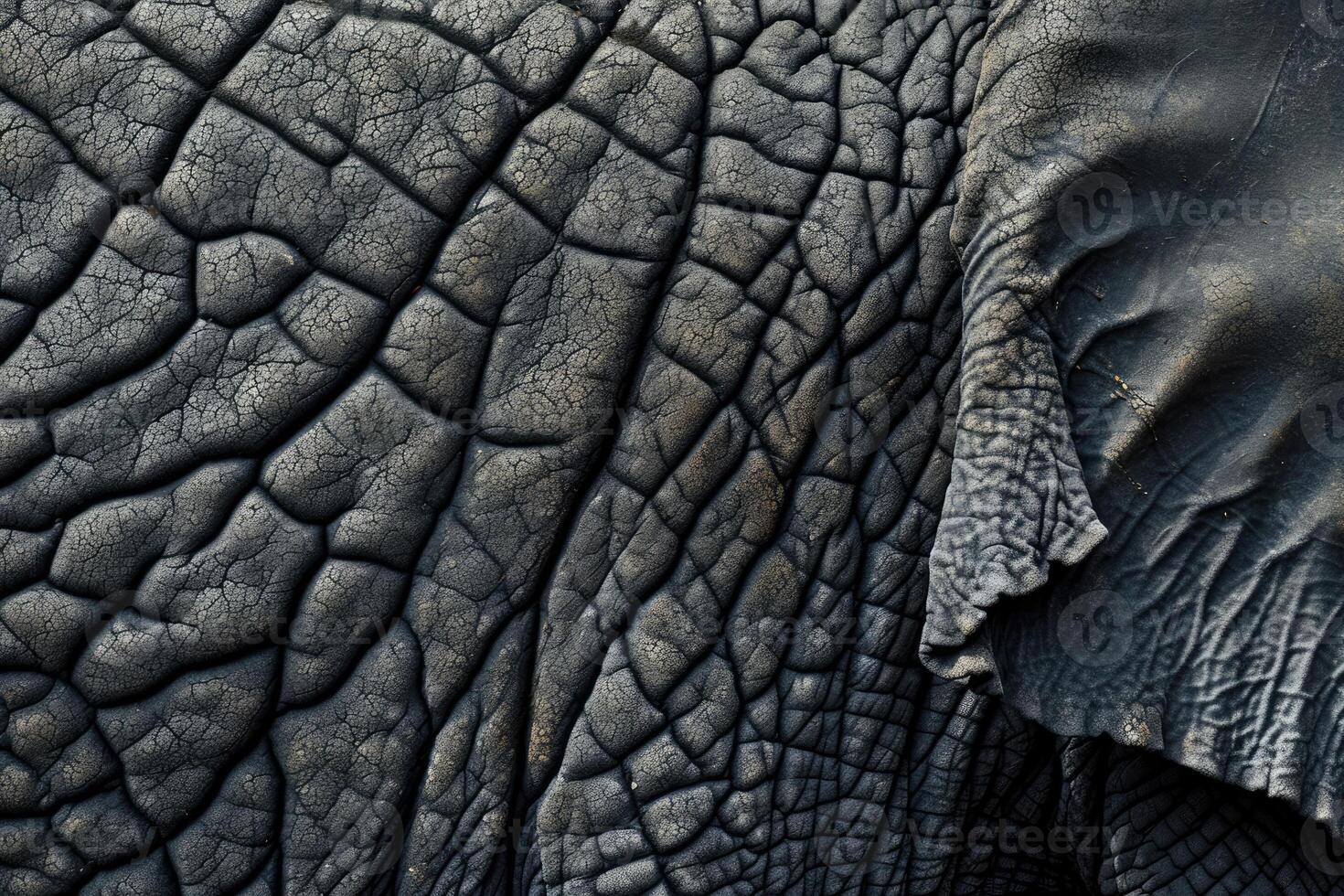 AI generated Realistic elephant skin texture photo