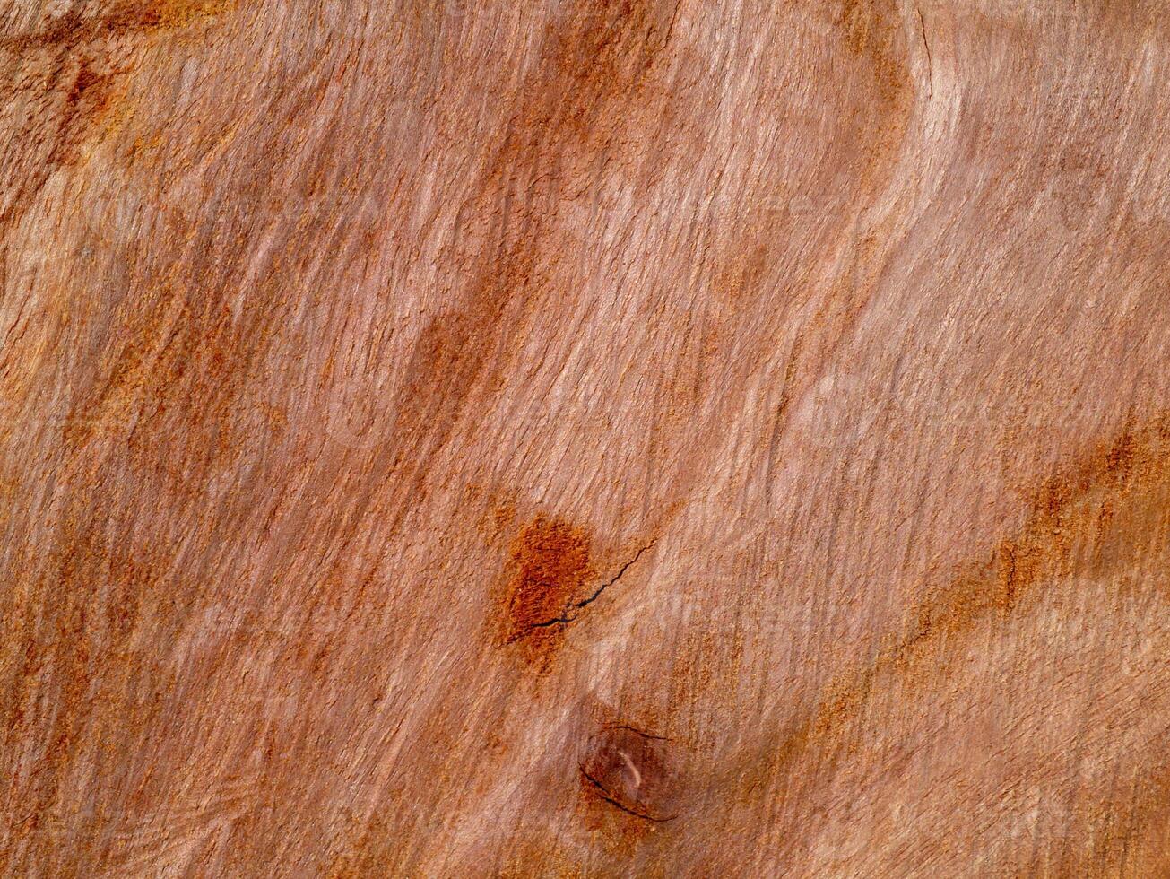 textura de eucalipto madera antecedentes foto