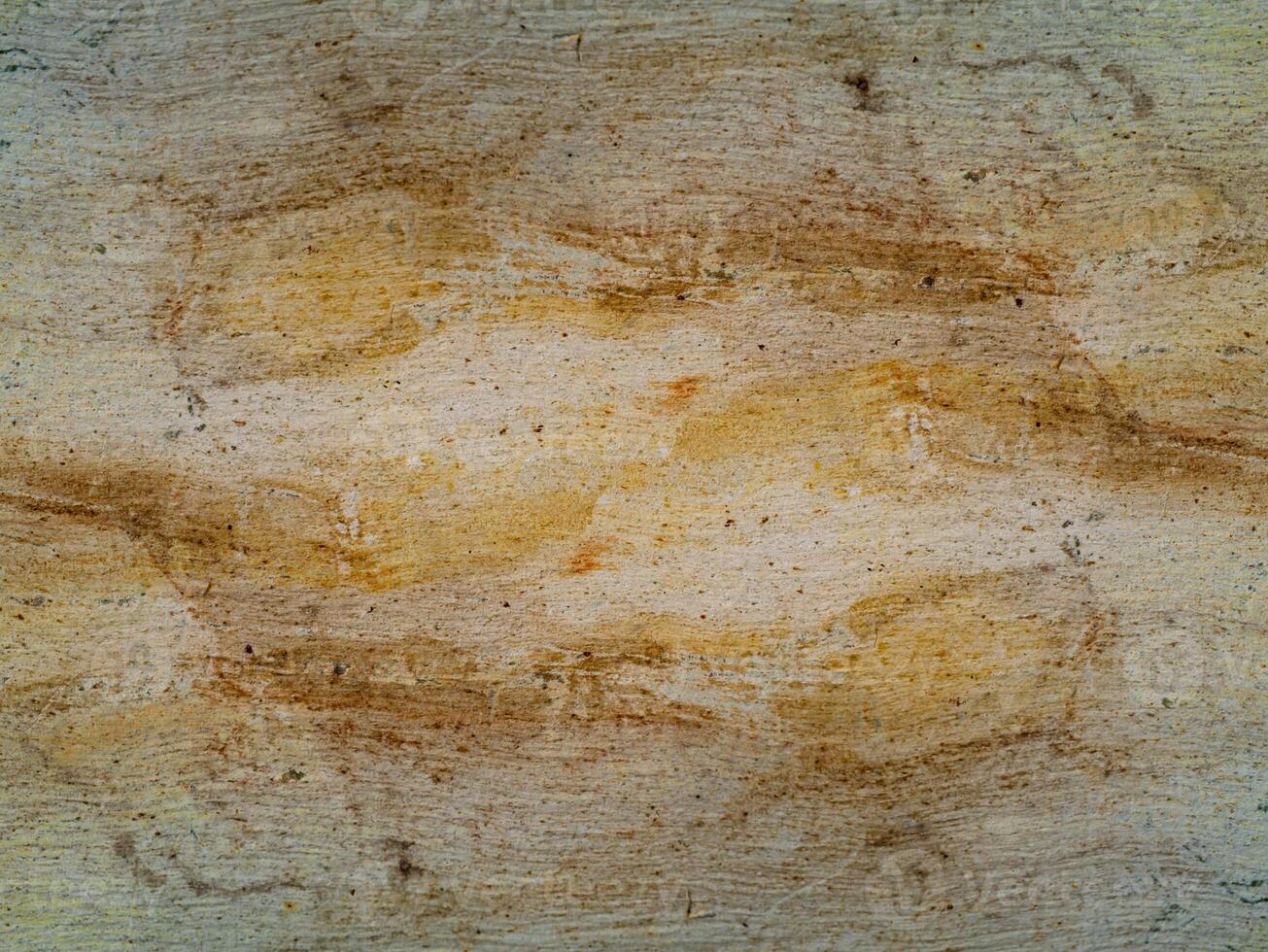 Surface bark of eucalyptus tree. photo