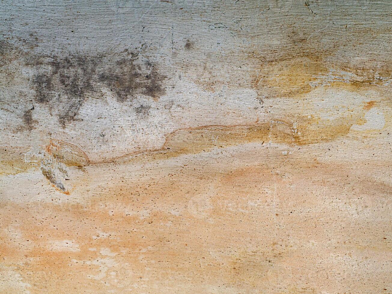 Surface bark of eucalyptus tree. photo