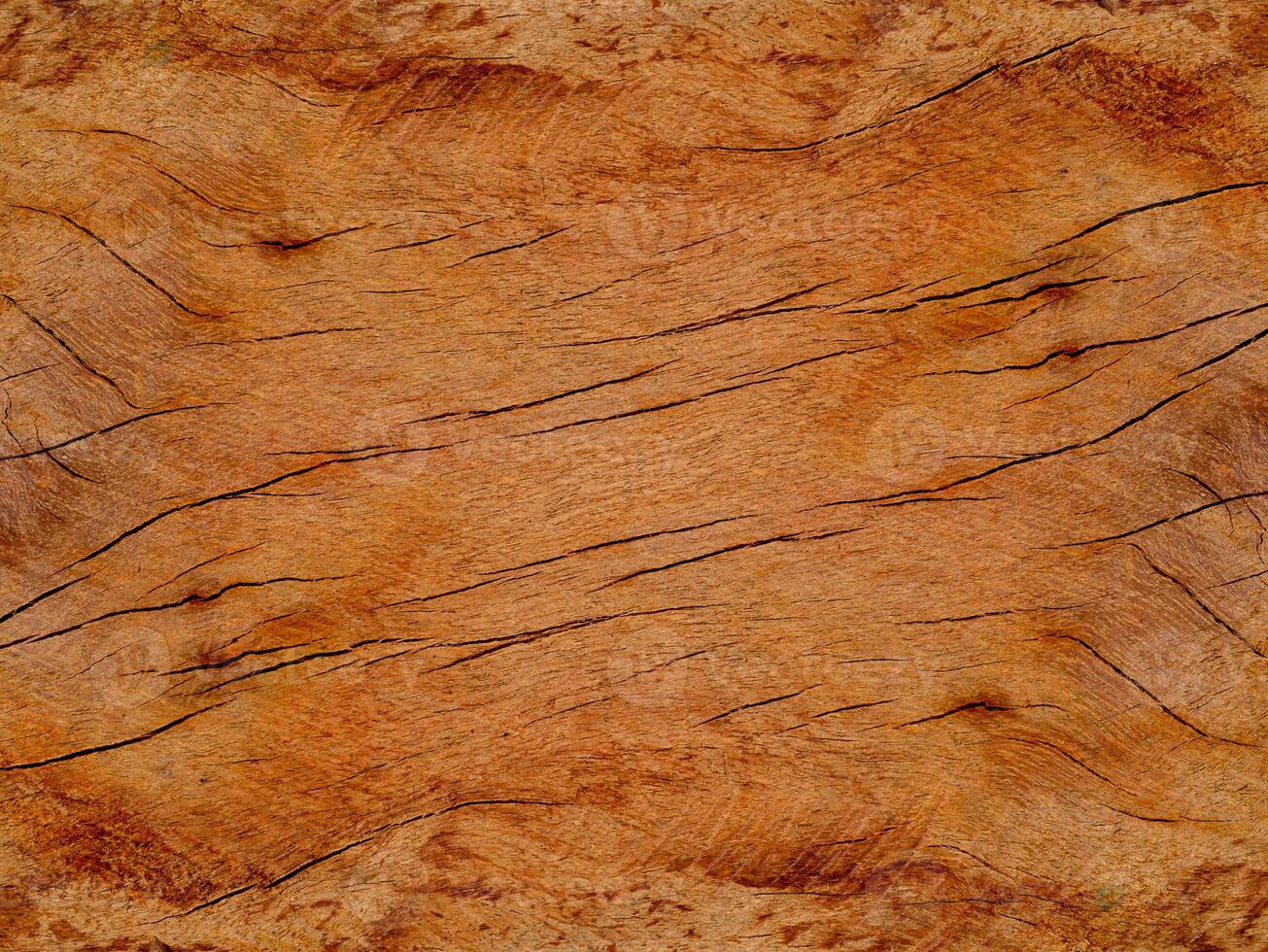 Texture of Eucalyptus wood background. photo