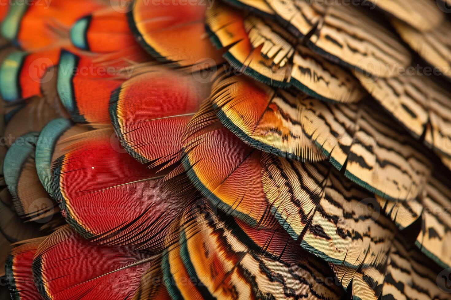 AI generated Closeup abstract background image of colorful ring-necked pheasant feathers. photo