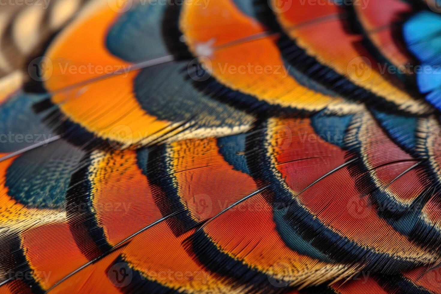 AI generated Closeup abstract background image of colorful ring-necked pheasant feathers. photo