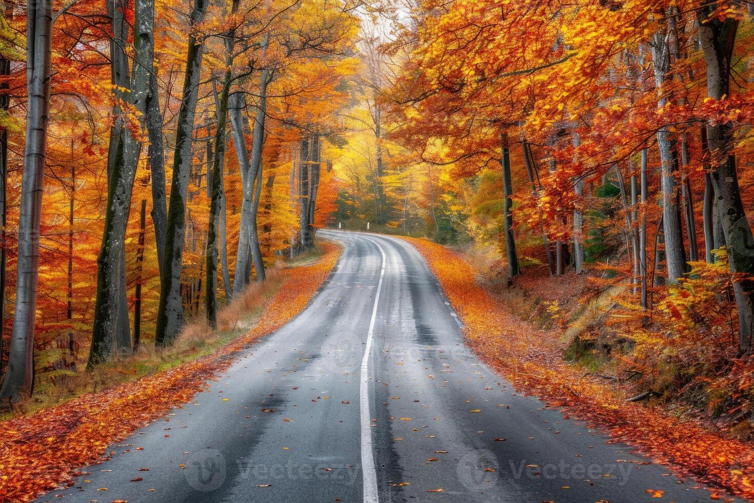 AI generated Beautiful scenery of a road in a forest with a lot of colorful autumn trees. photo