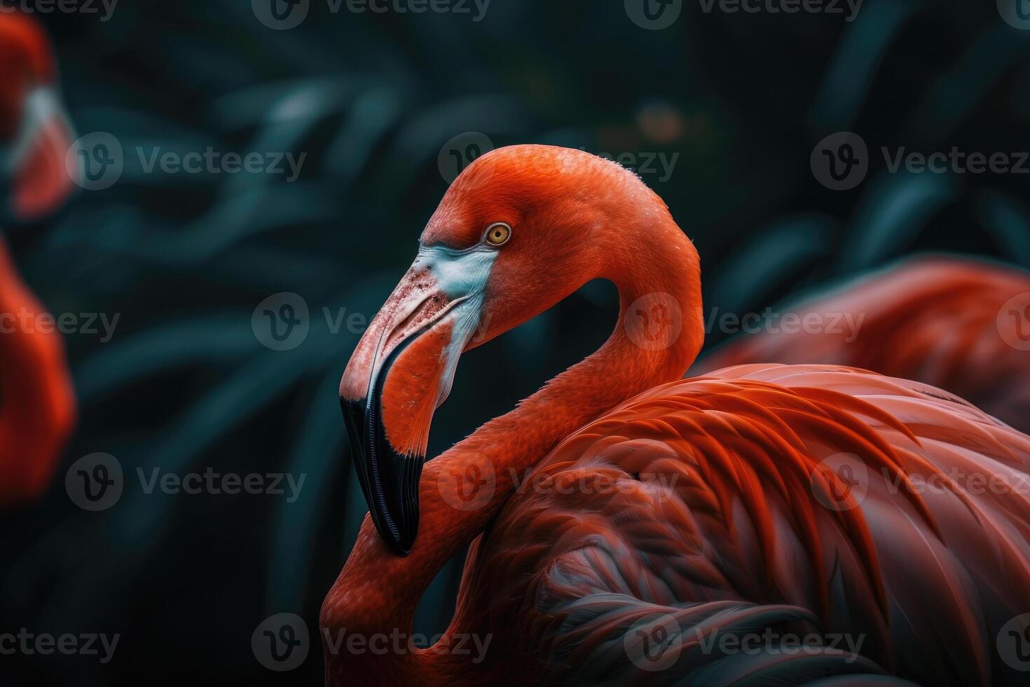 AI generated Beautiful flamingo walking in the water. photo