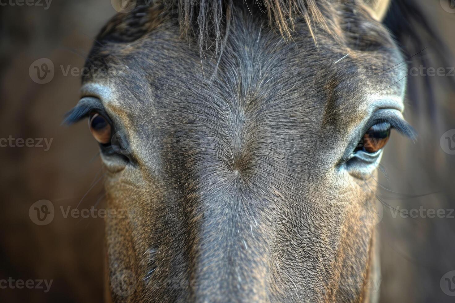 AI generated Mule close up portrait. photo